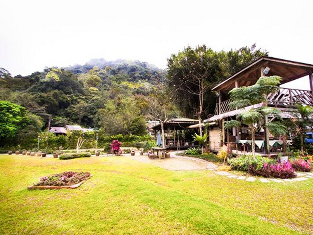 Reishi Expert B&amp;B 26/26