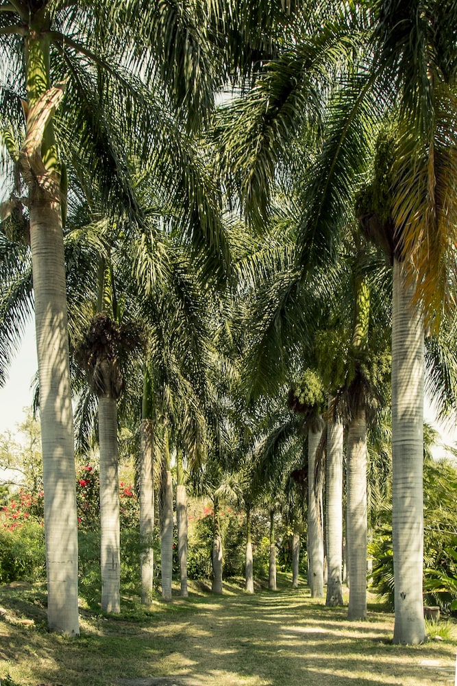 Hacienda San Gabriel de las Palmas 77/80