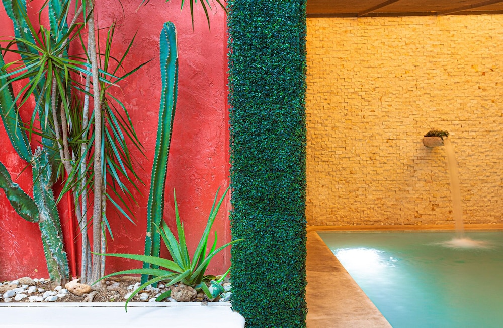 Viva Merida Hotel Boutique 68/71