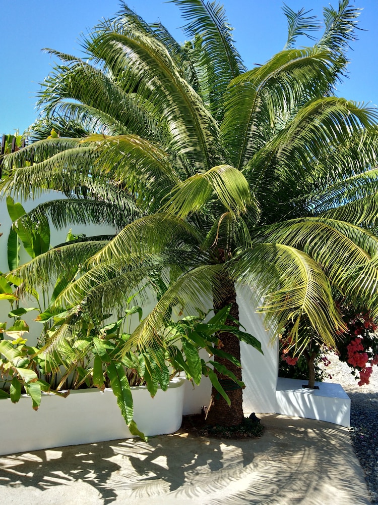 Villa Kalachuchi B&B 46/56