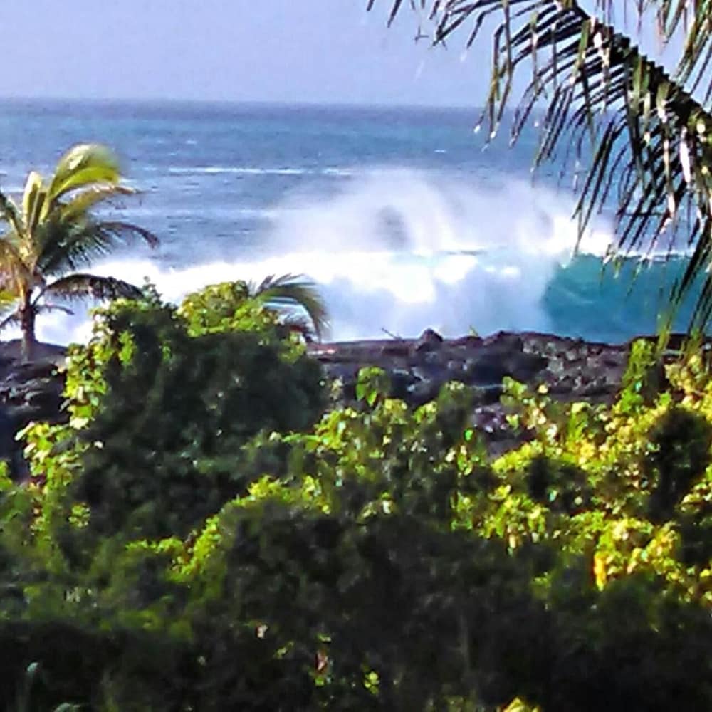 Ma'ukele Lodge 29/50