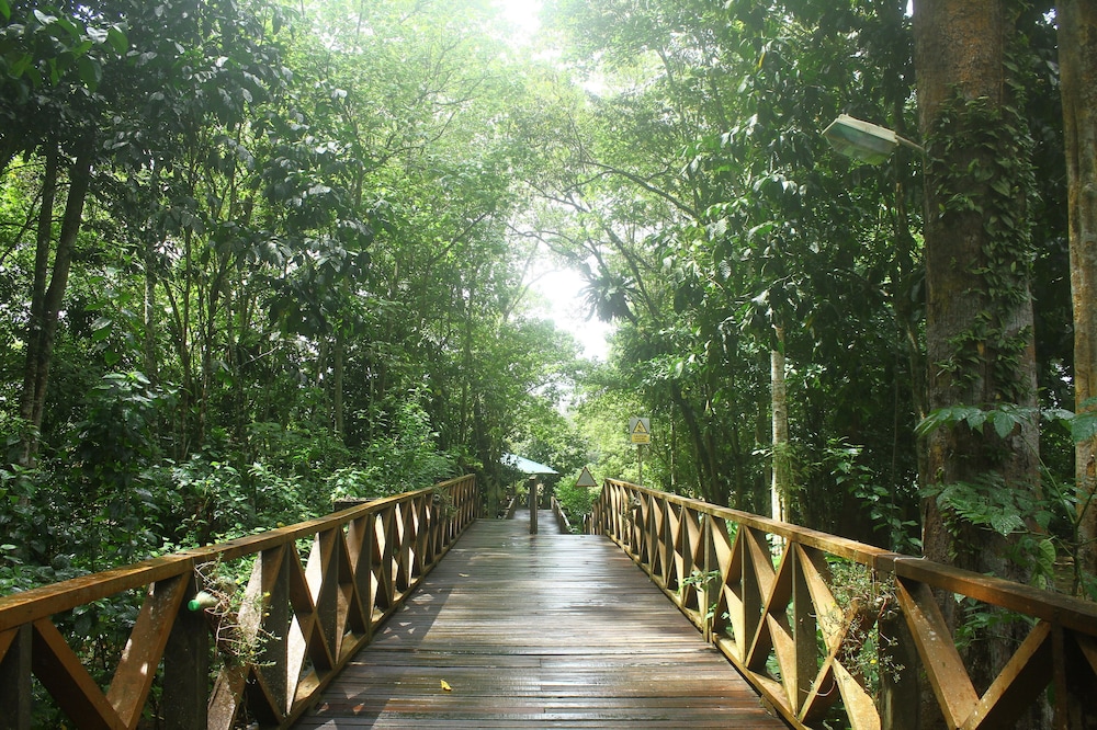 Borneo Nature Lodge 14/18