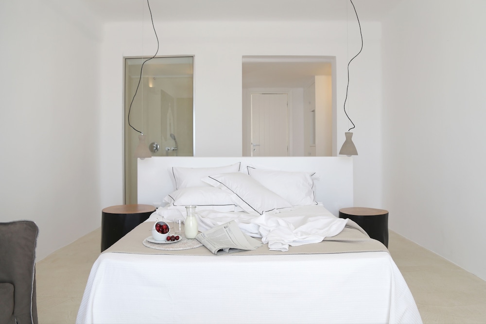 Livin Mykonos Boutique Hotel - Adults only 27/76