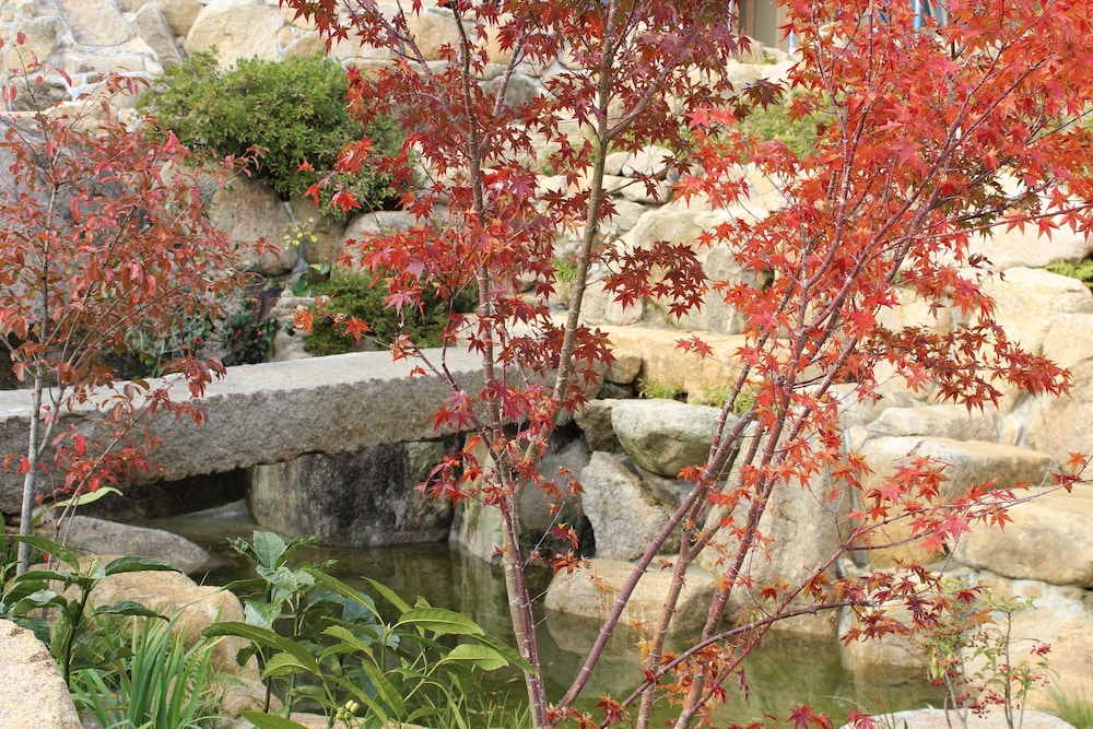 Hatago Sakura 38/44