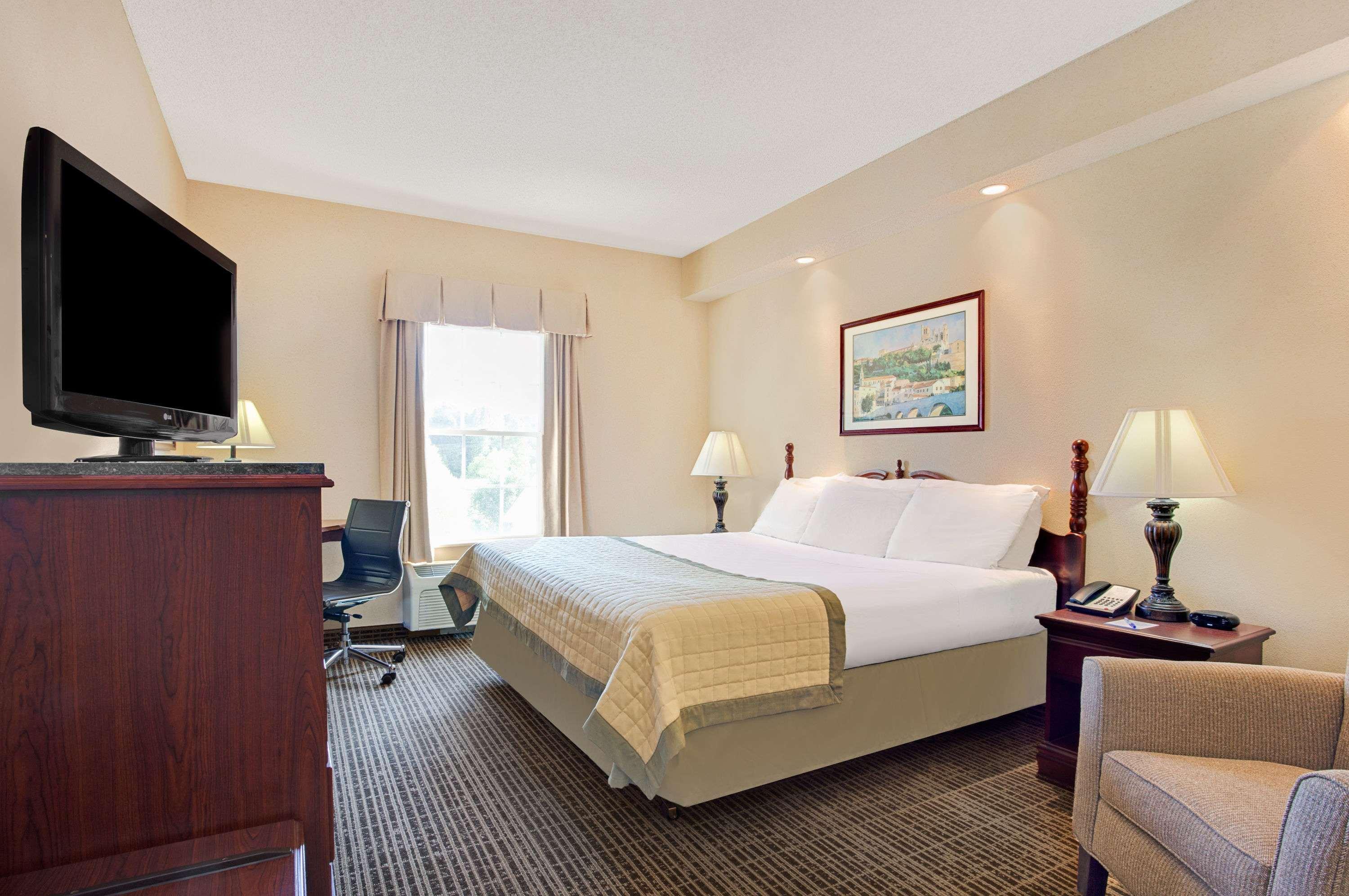 Room, King Bed
