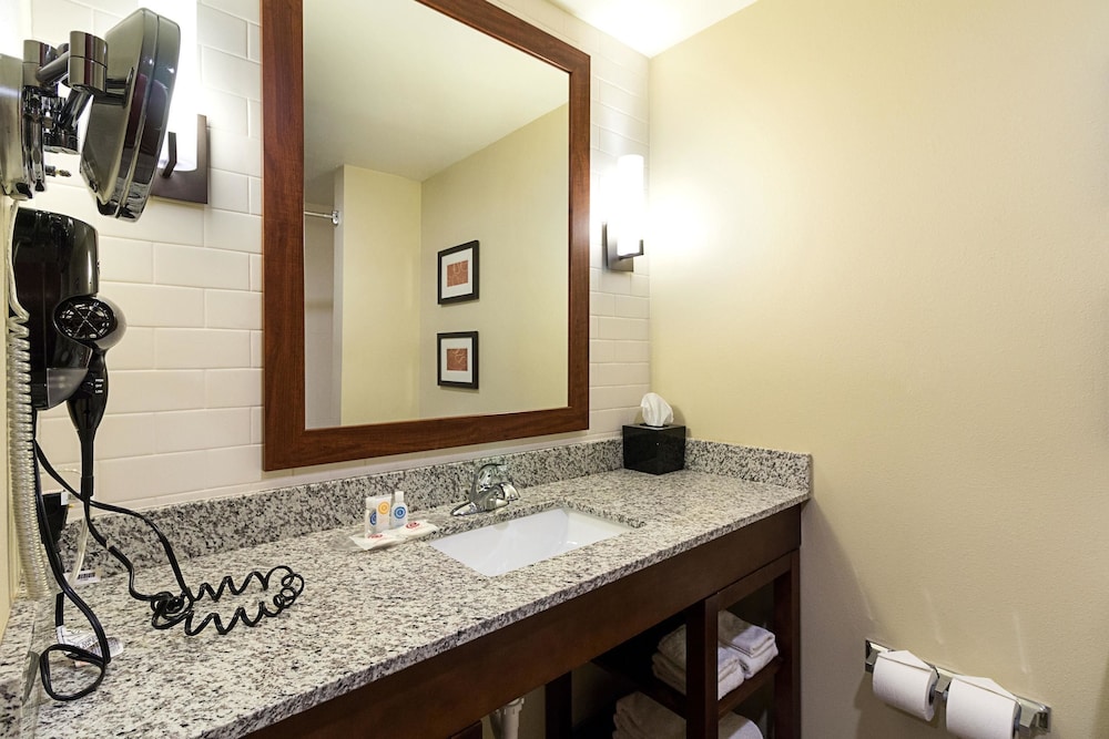 Comfort Suites & Conference Center Worthington MN 16/38