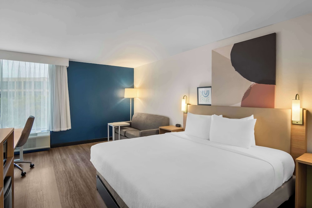 Room, King Bed