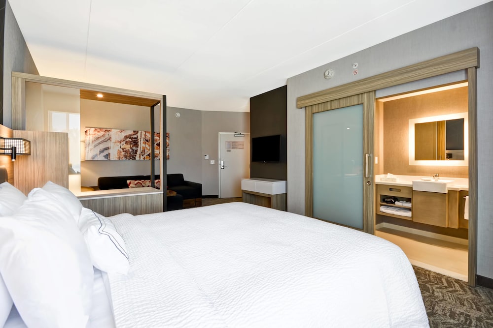 Springhill Suites Cincinnati Blue Ash 8/46