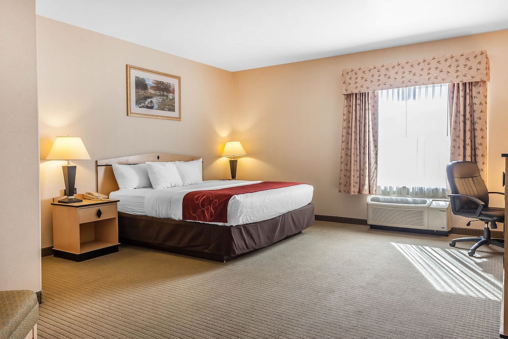 Comfort Inn & Suites Airport Convention Center 15/43