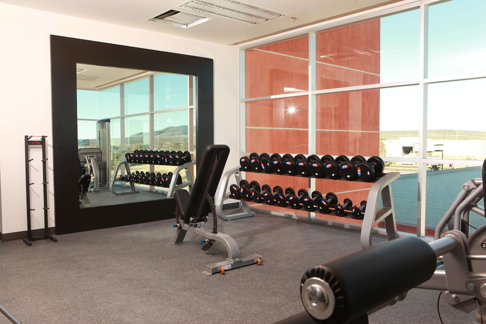 Hampton Inn Suites By Hilton Aguascalientes Airport 34/58