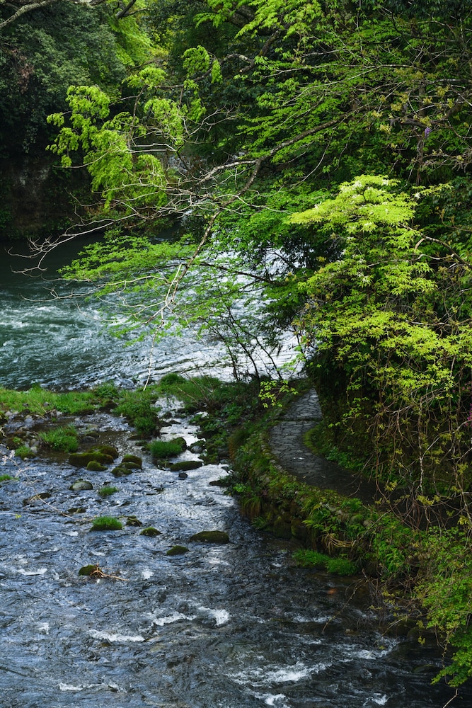 Yamanaka Onsen Shirasagiyu Tawaraya 41/52
