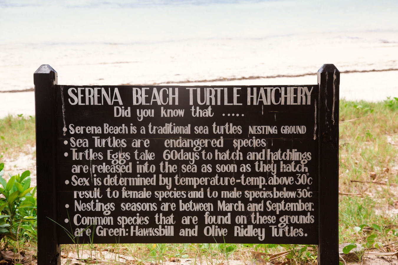 Serena Beach Hotel and Spa