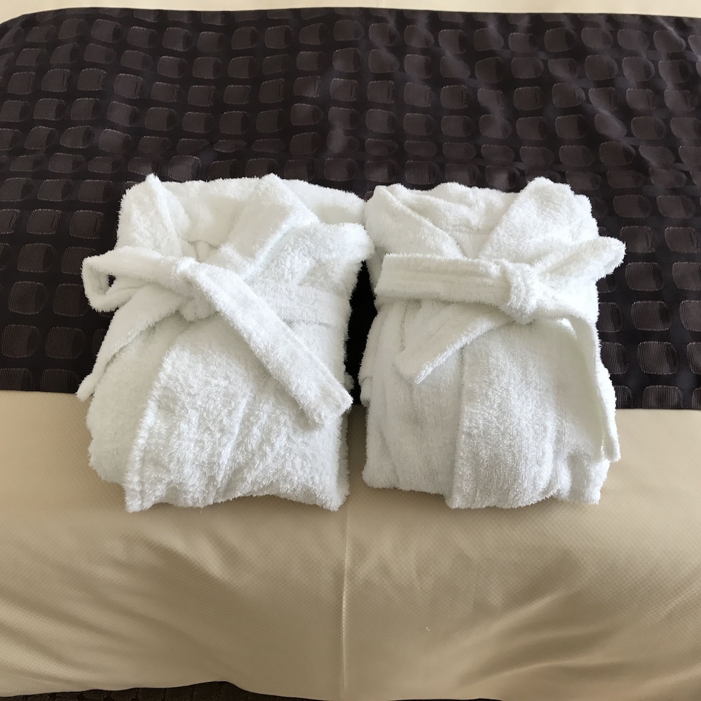 Ogaki Forum Hotel 13/34