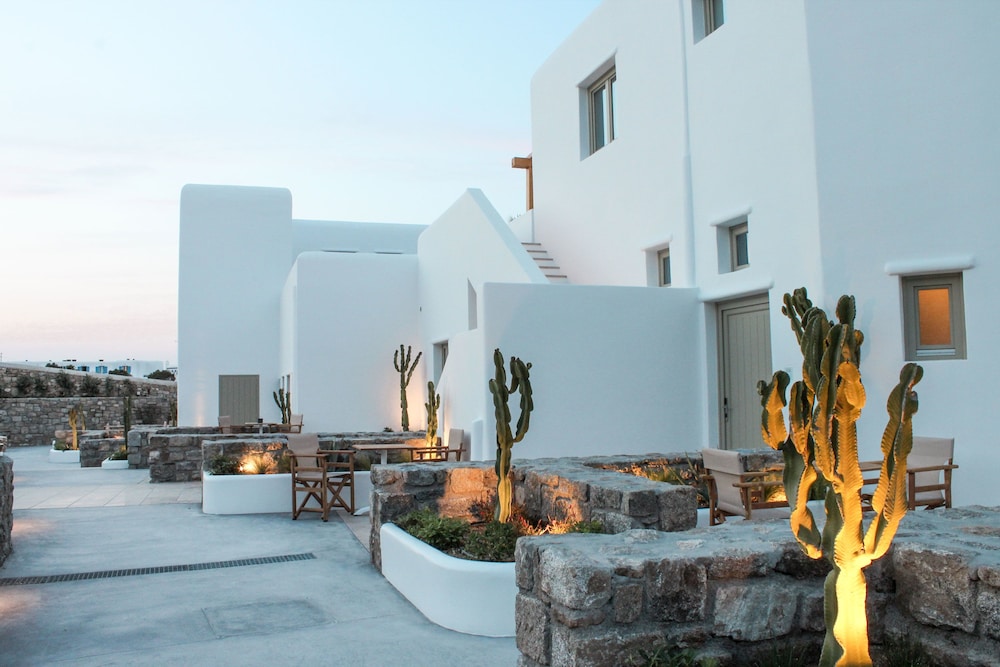 Mykonos Cactus 41/50