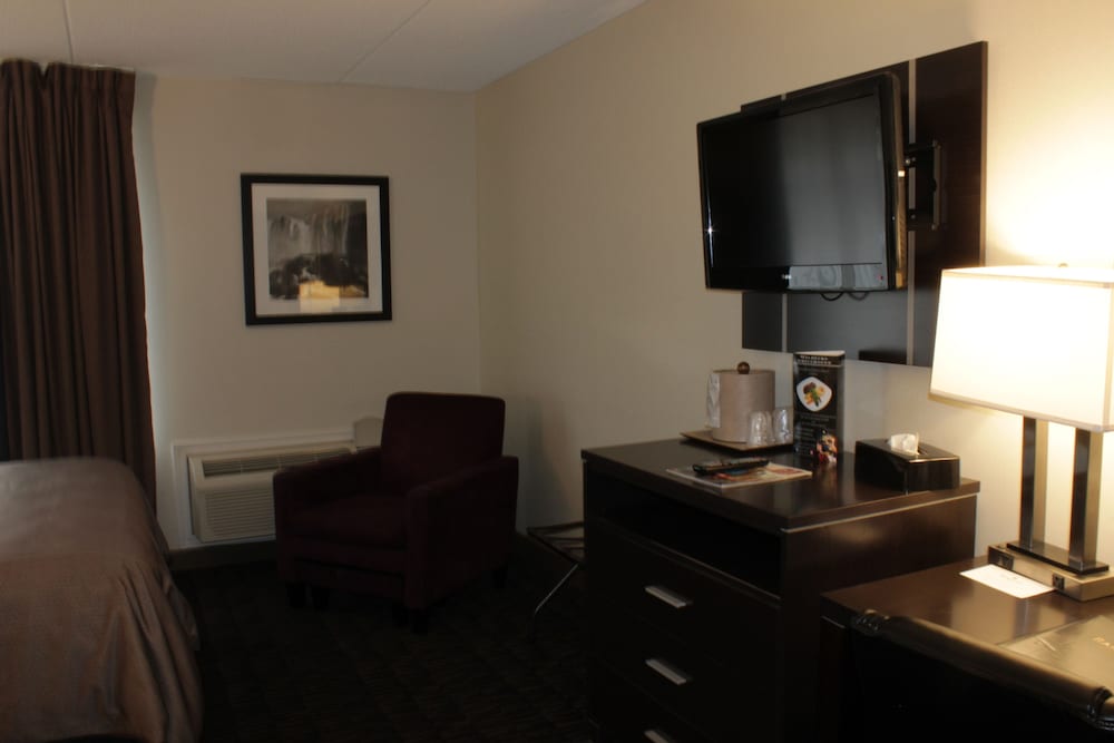 Ramada Plaza By Wyndham Niagara Falls 34/79