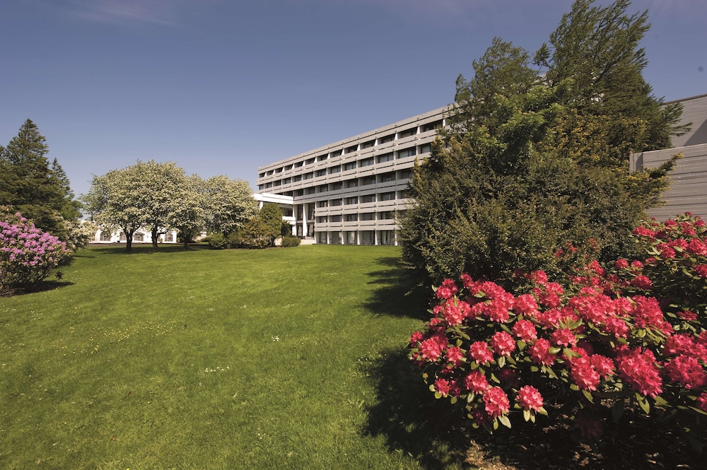 Radisson Blu Hotel, Haugesund 25/68