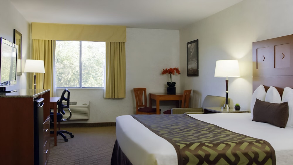 DELUXE, SINGLE, QUEEN BED, ACCESSIBLE