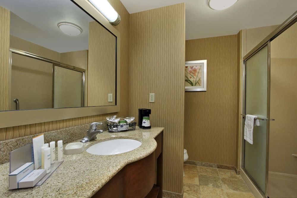 Hampton Inn Suites Exmore Eastern Shore 12/42
