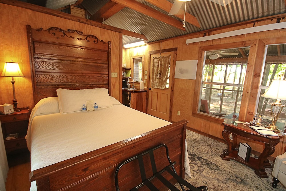 HAPPY PINE, CINEMA, CABIN