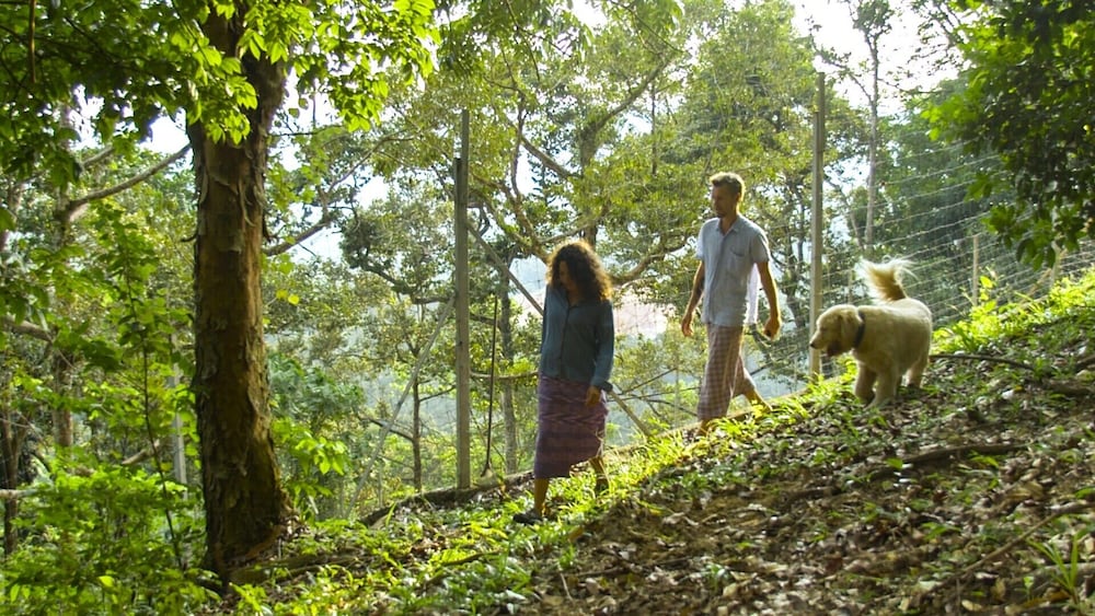 The Dusun 27/50