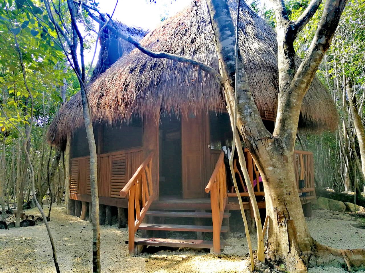 Aldea Maya-Ha Cabanas con Cenotes 37/55