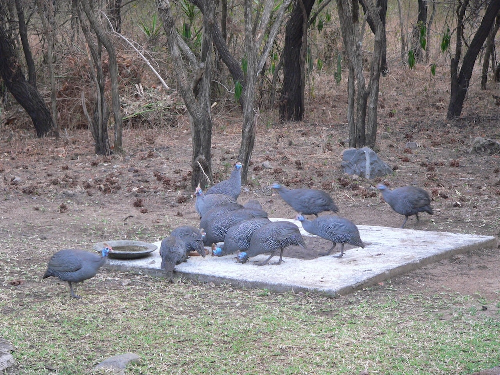 Kruger Cottage 24/36