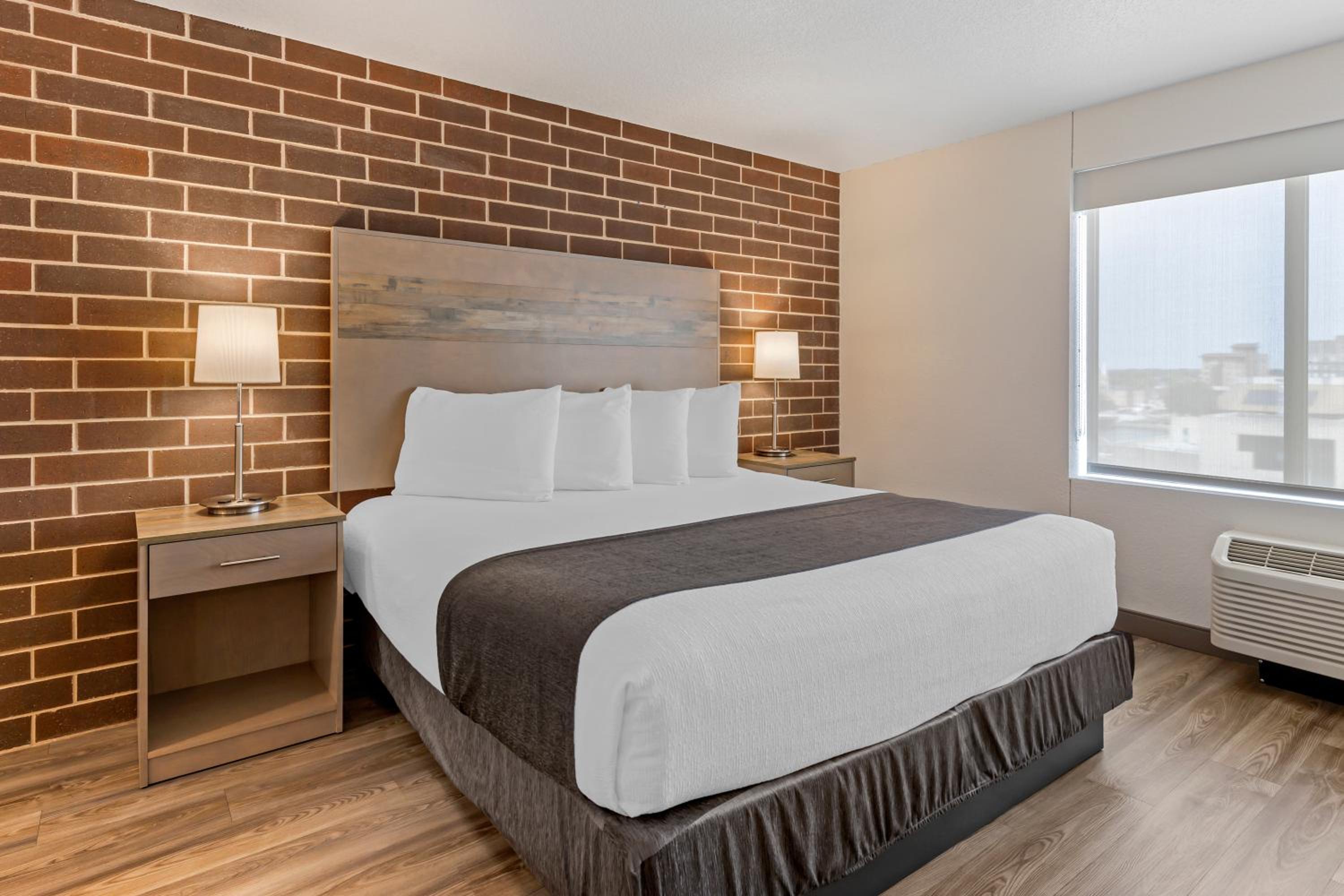 Suite, King Bed, Sofa