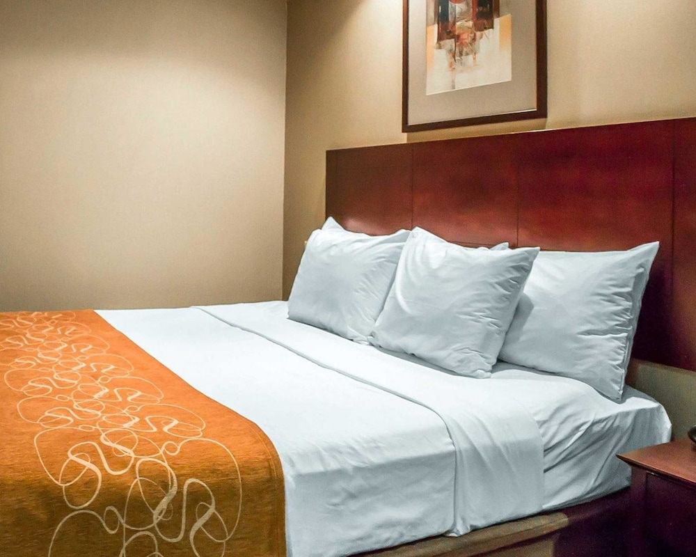 Comfort Suites Perrysburg - Toledo South 10/49