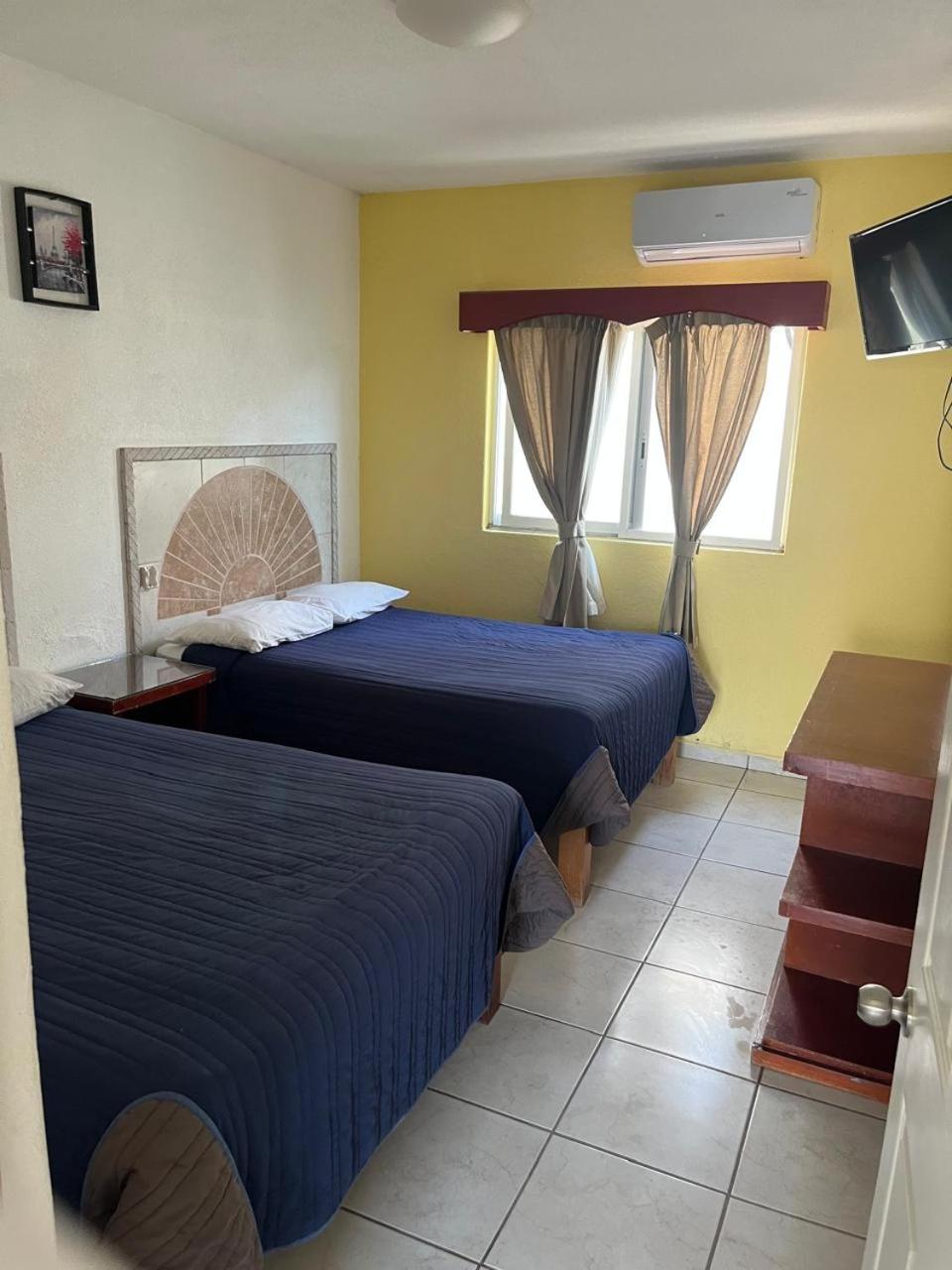 Hotel Albatros Palace 13/24