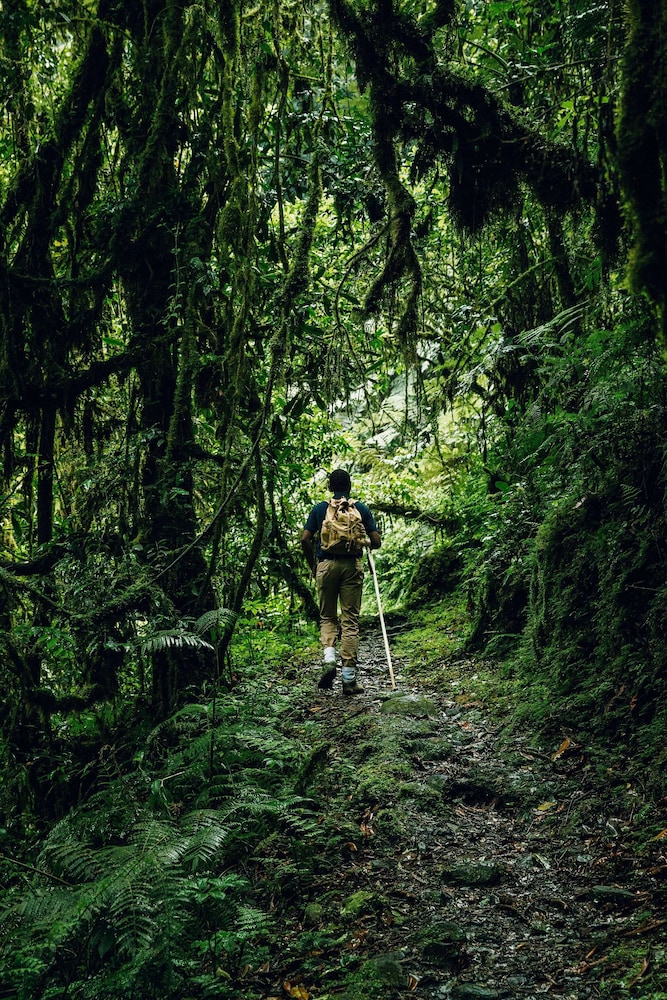 Nyungwe Tea Forest Resort 56/71