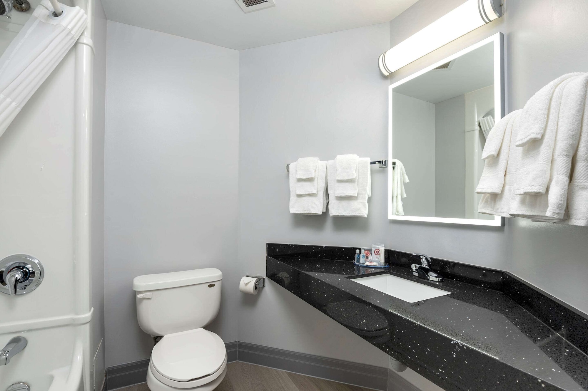 ROOM, KING BED, ACCESSIBLE