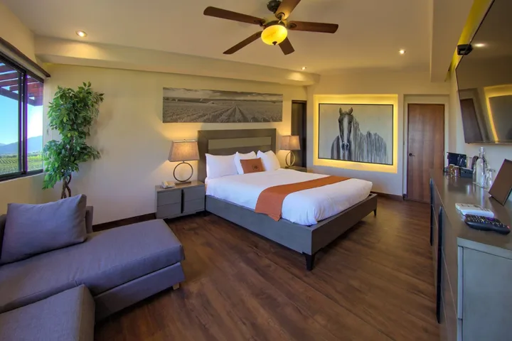 Hotel boutique & Spa Valle de Guadalupe 6/9