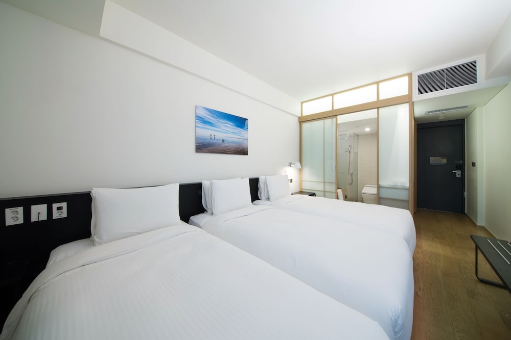 Sotetsu Hotels The Splaisir Seoul Myeongdong 31/81