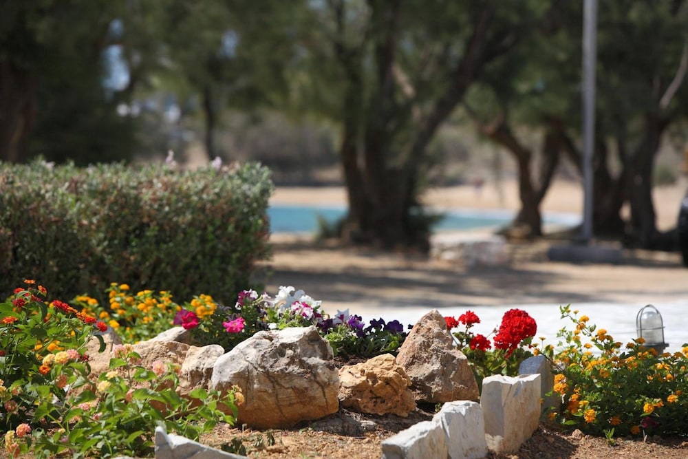 Paros Inn Hotel 39/50