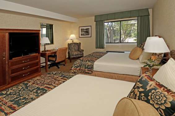 Maple Tree Inn 8/40