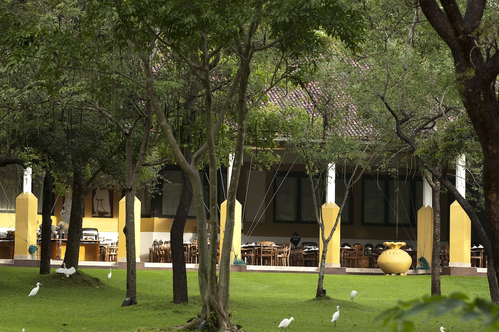 Amaya Lake 29/50