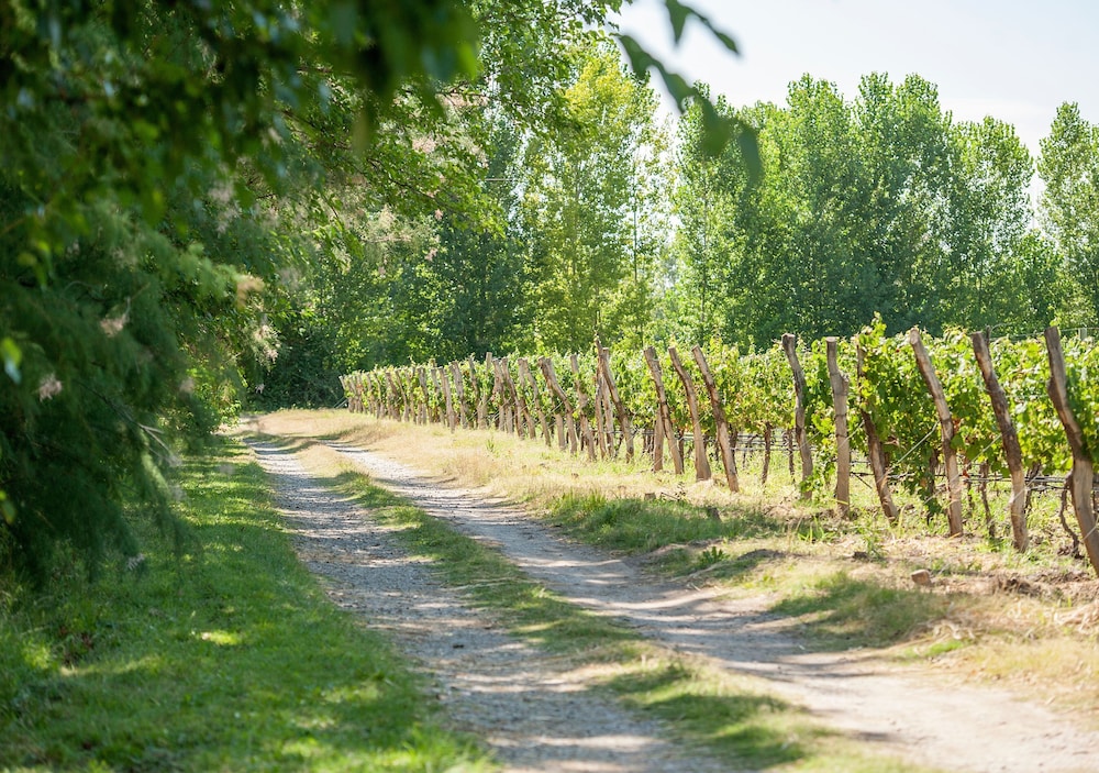 Postales Boutique WIne Hotels - Valle de Uco 43/50