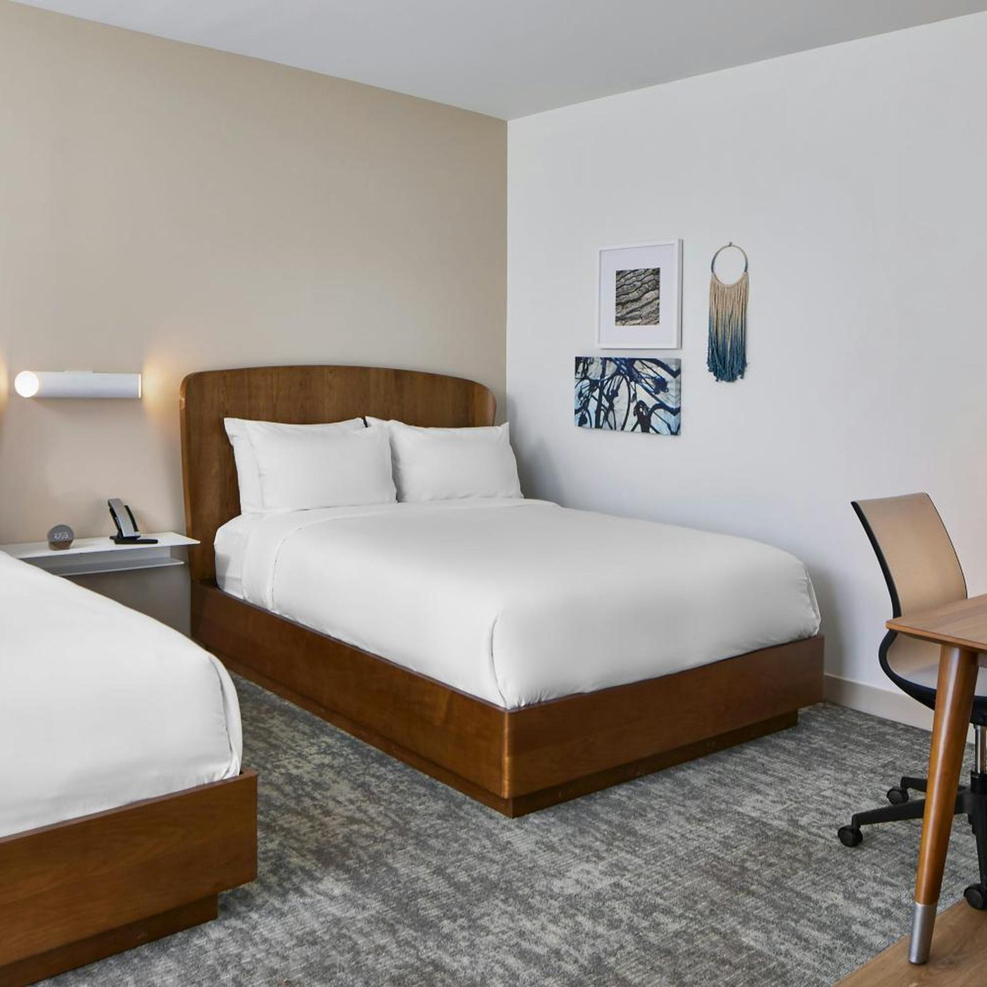 Studio, King Bed, 2 Queen Beds