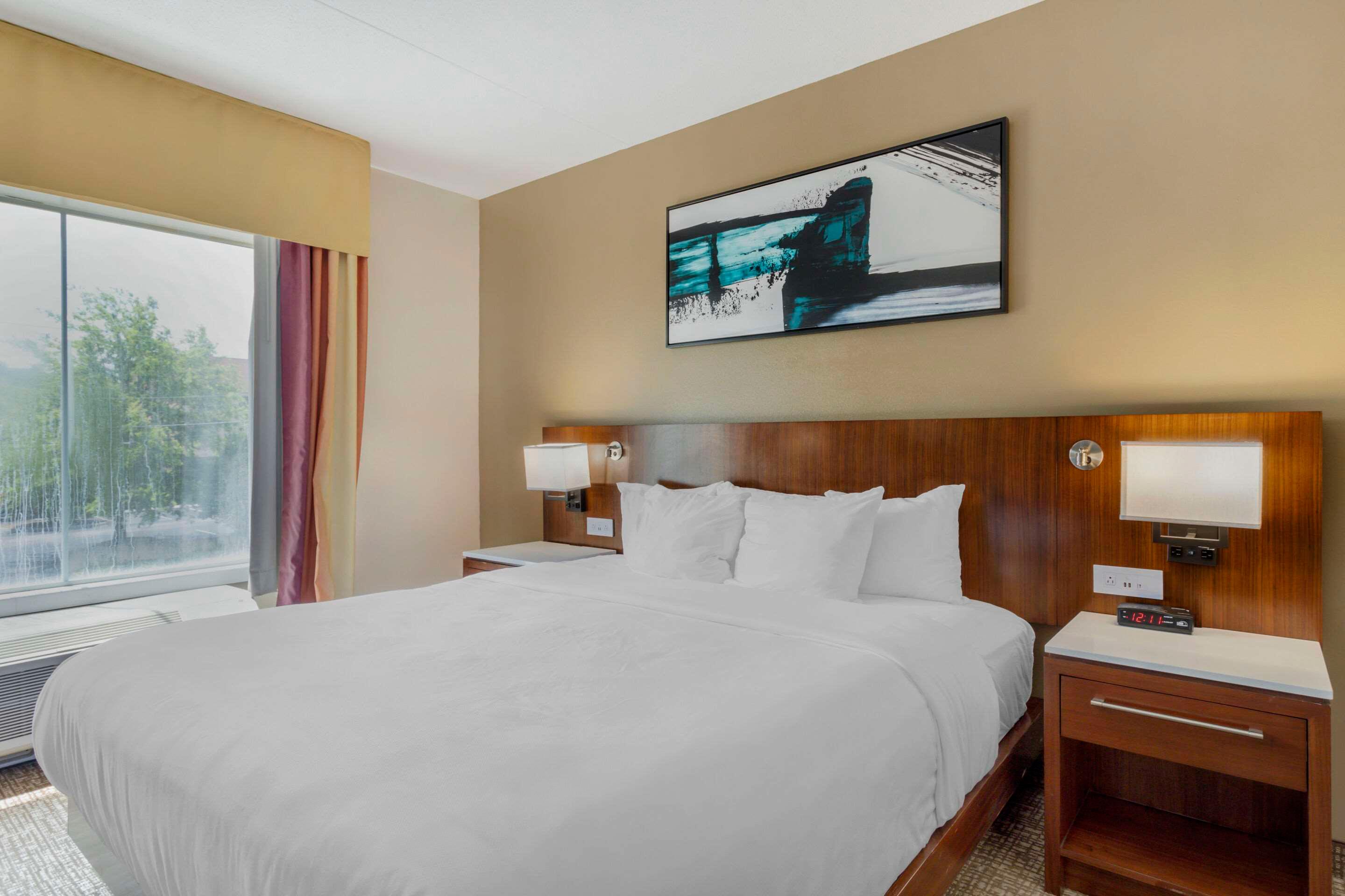 SUITE, KING BED