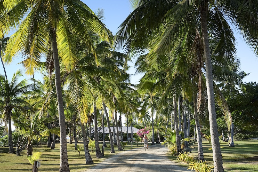 Musket Cove Island Resort Marina 32/50