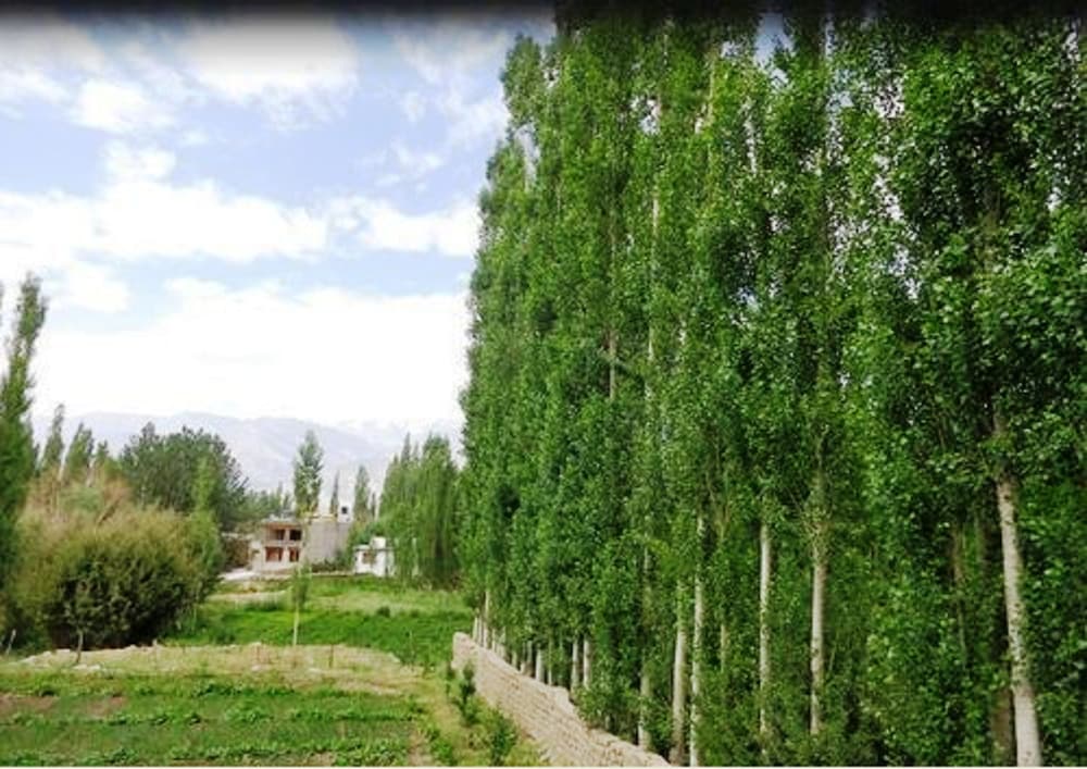 Hotel Ladakh Heaven 29/35