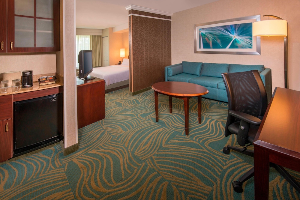 Springhill Suites by Marriott State College 38/63