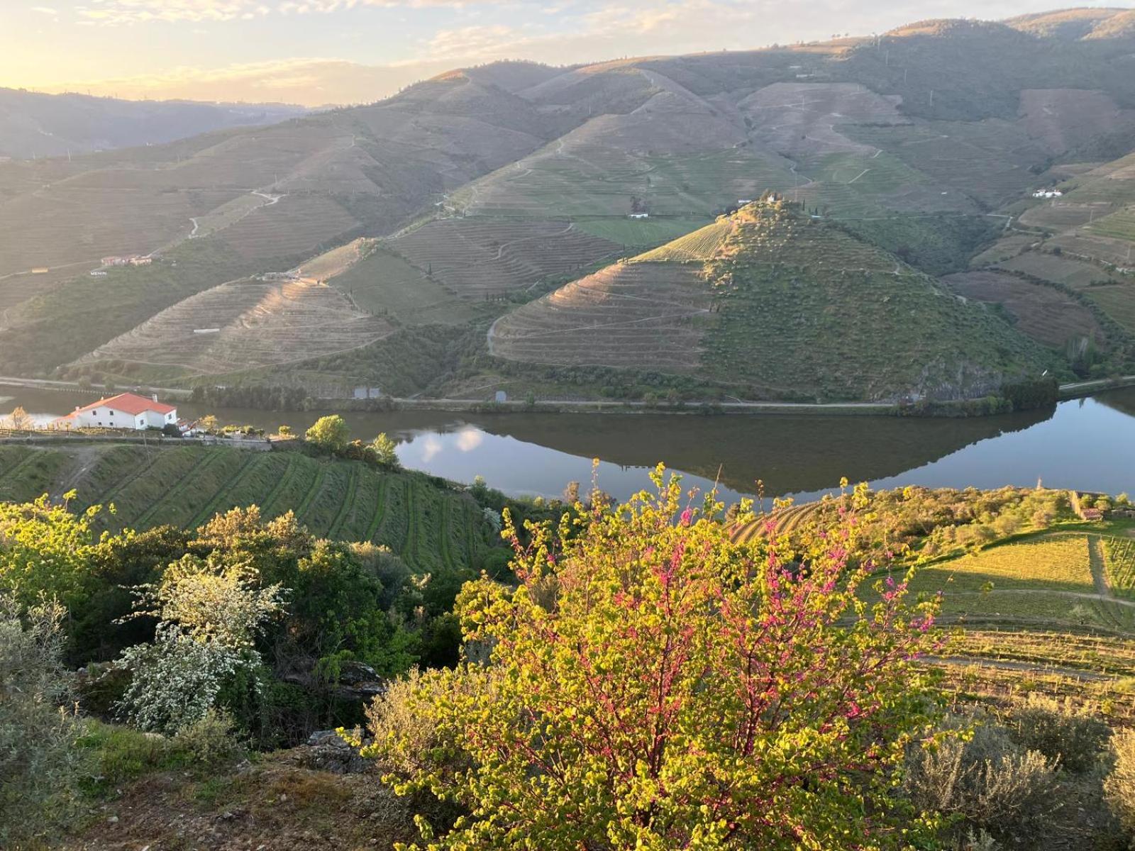 PLACIDO HOTEL DOURO TABUACO 47/48