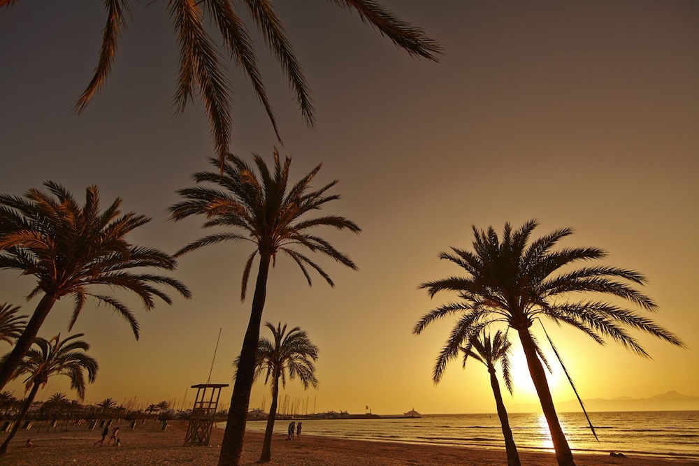 Mll Palma Bay Club Resort 26/37