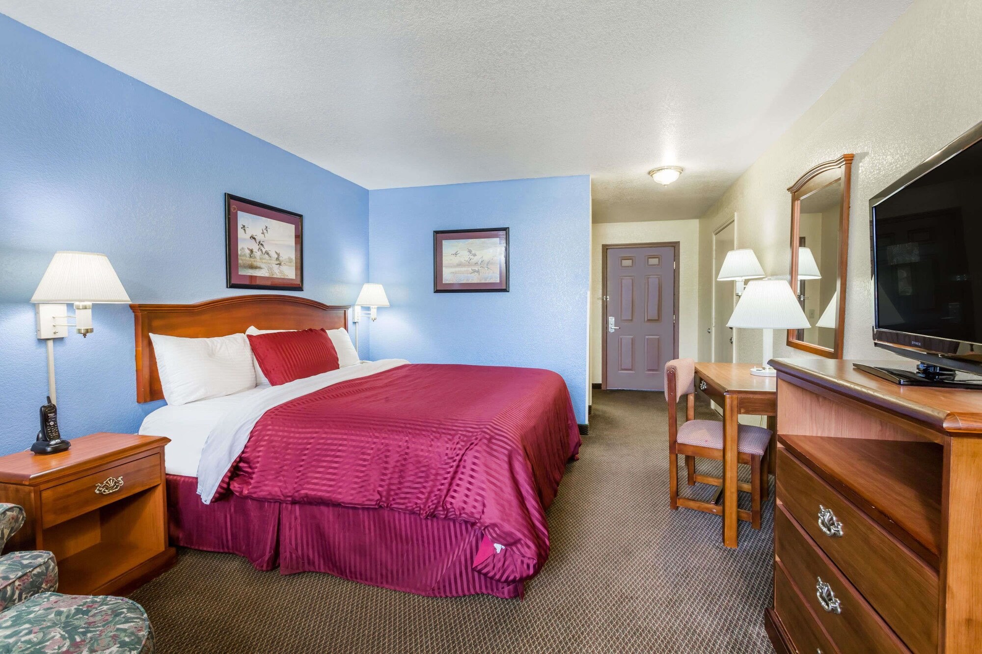 Interior, Studio, Suite, King Bed