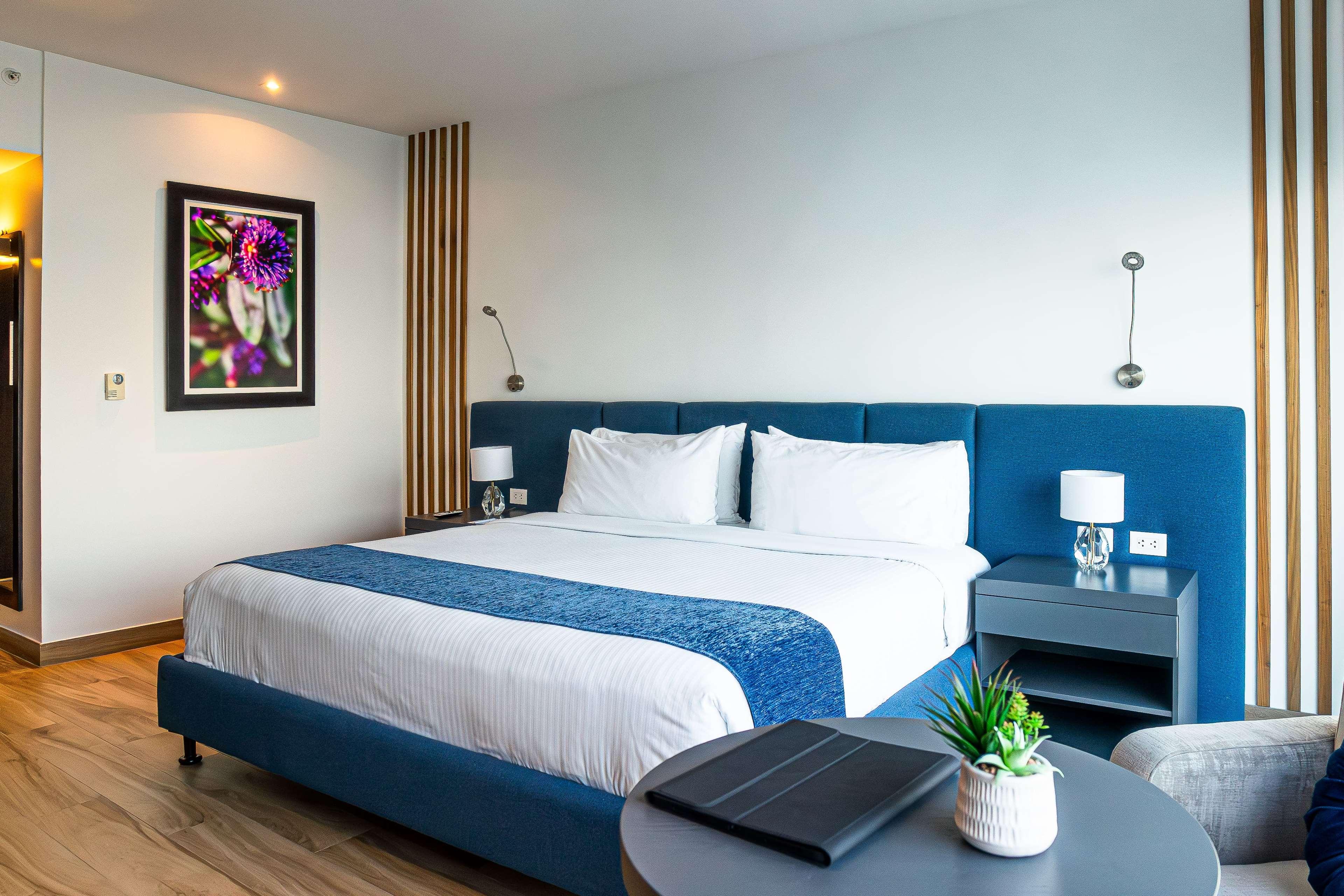 Room, King Bed