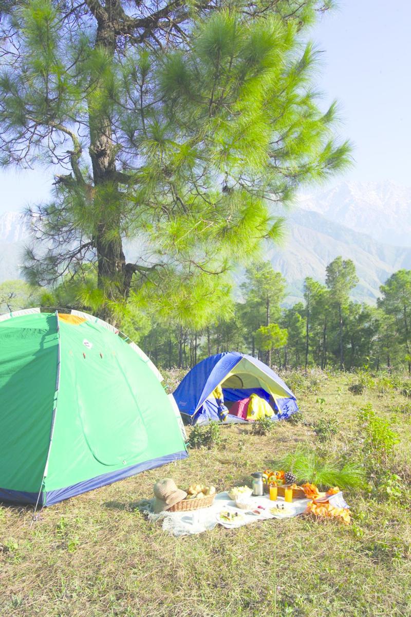 Club Mahindra Dharamshala 16/22