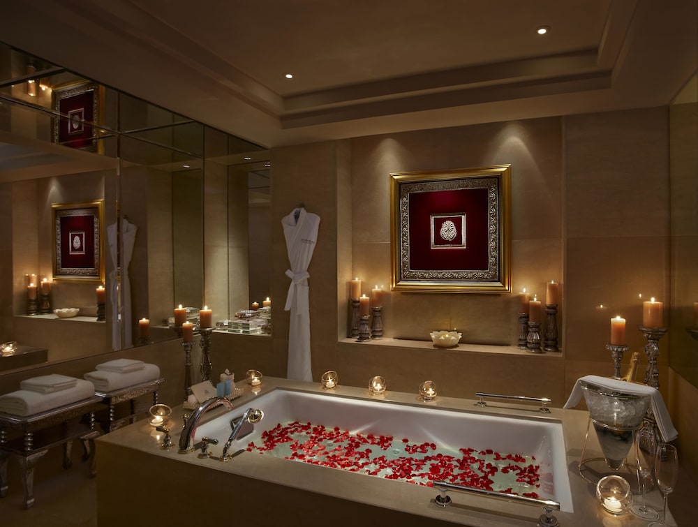 The Leela Palace Udaipur 28/81