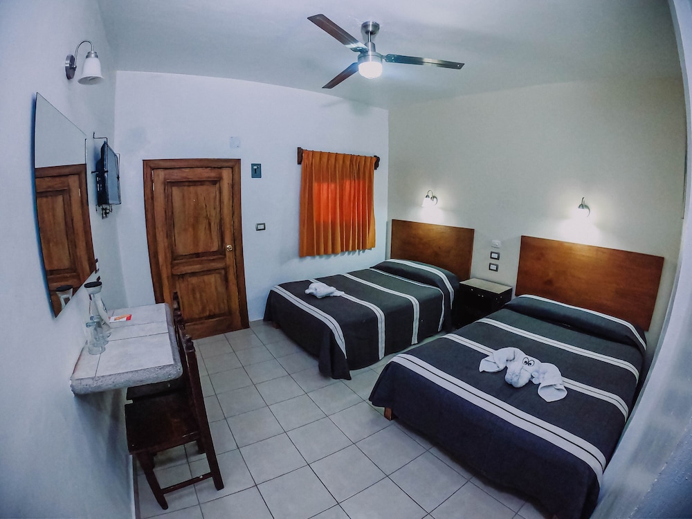 Hotel Cervantino 13/50