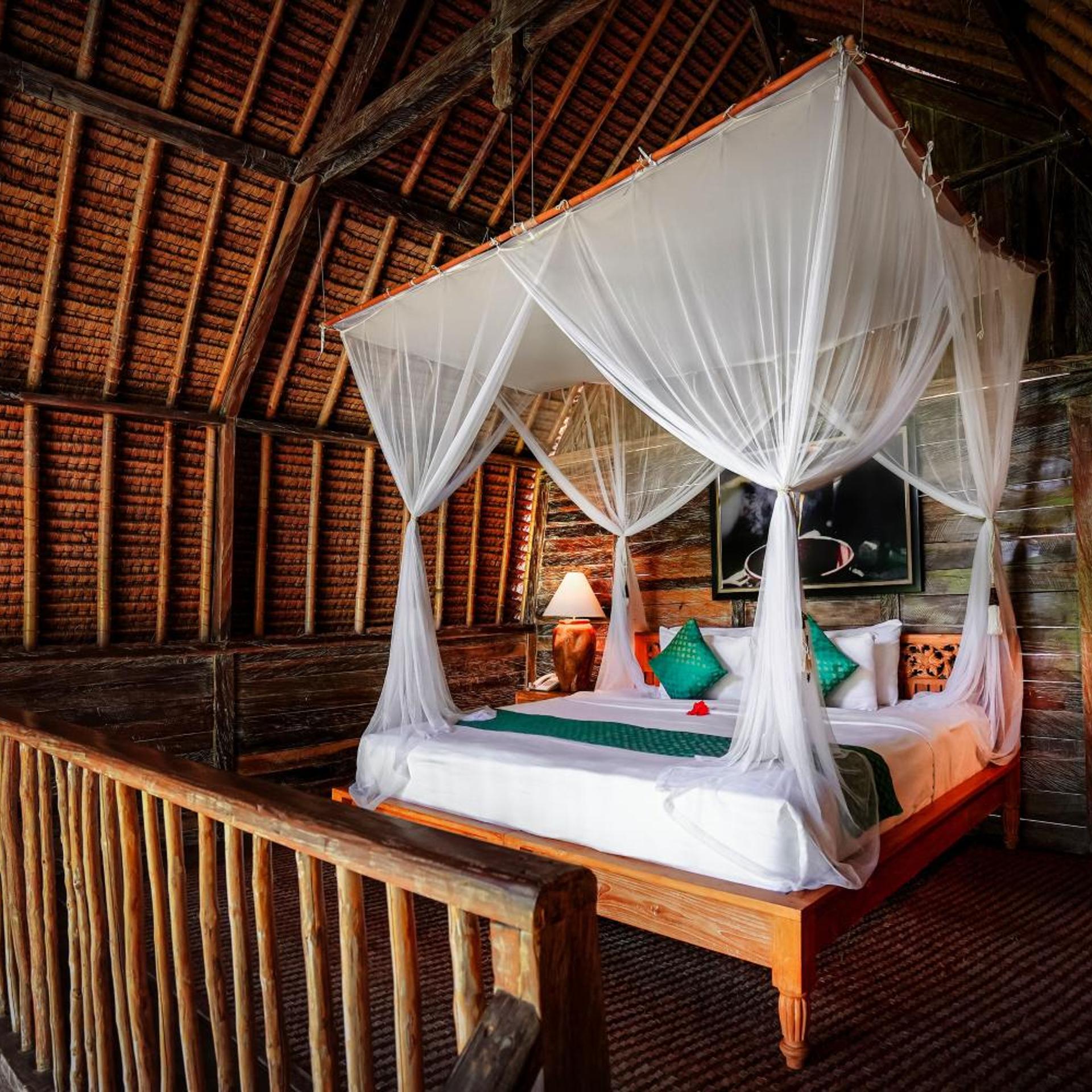 Family Suite, Rice Field View